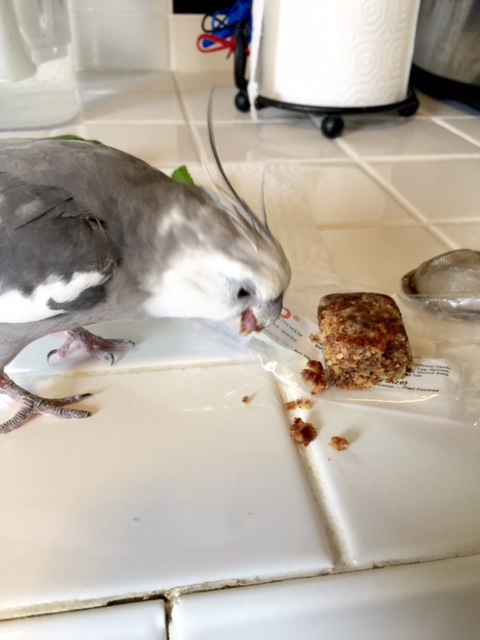 You are called "snack bar?" That's a great name! A sample? Well that is very kind - I believe I will!