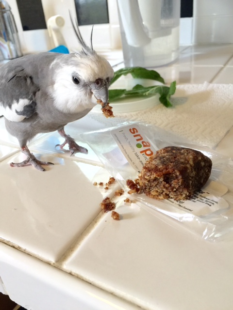 This one's okay, Mom - my super-secret "civilian cover ID" has revealed no threat to the casa.