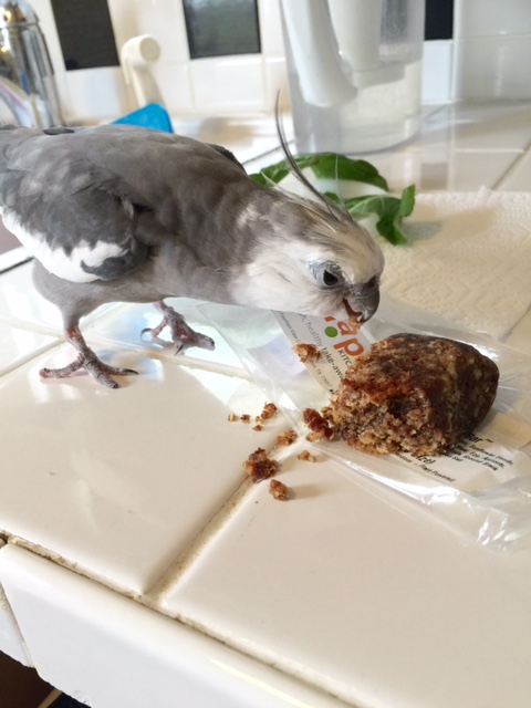 Hum-dee-dum-dee-dee....lalalalala.....I am just a normal civilian out enjoying a normal walk.