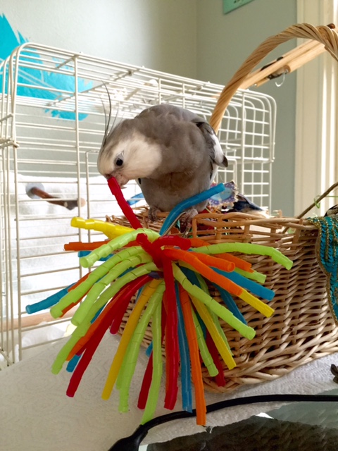 What's that you say? 