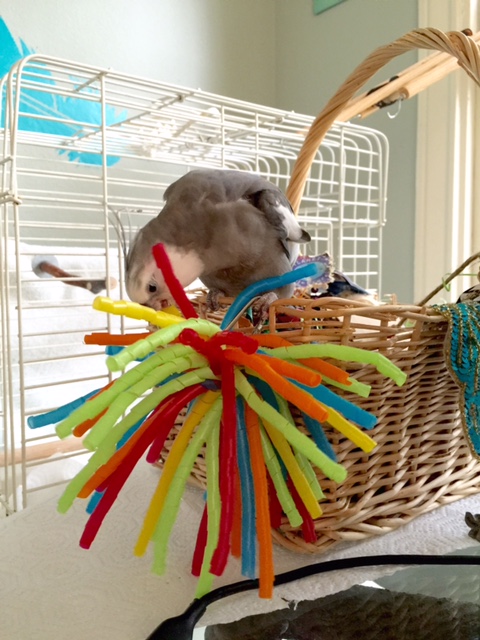 What do you mean by "a small feathery pushover?"