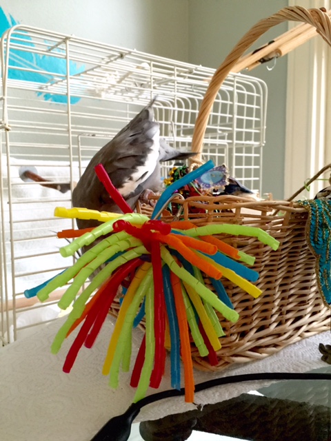 Or you? Or you? NONE of you? 