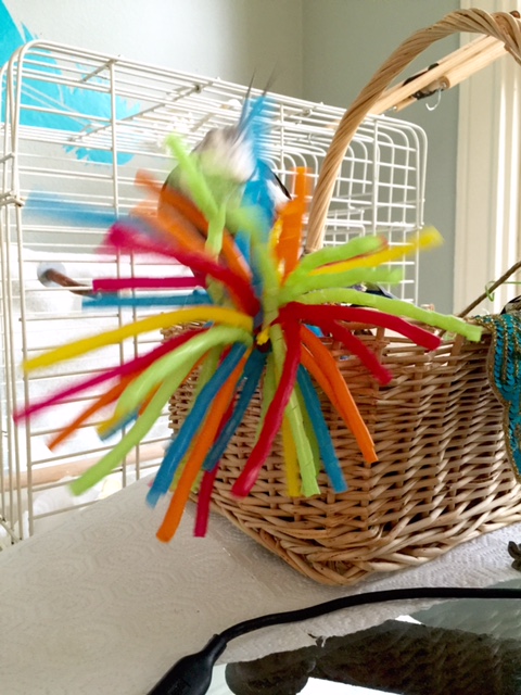 Today's course will be entitled "Tiny But Mighty: and why you might want to steer clear of beings with beaks!"