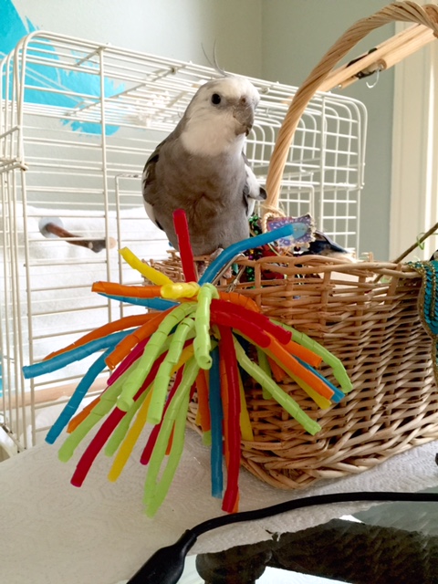 I must've forgotten there was a modeling shoot on the books for today.