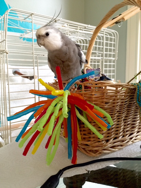 No worries - good thing for her I can do "cuteness on demand!"