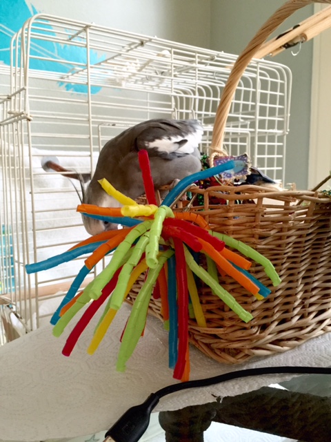 How about you down there - you want somma this?