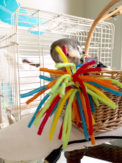 "Pushover" indeed. Now, gentlemen, let me explain to you your role as a "modeling prop." 