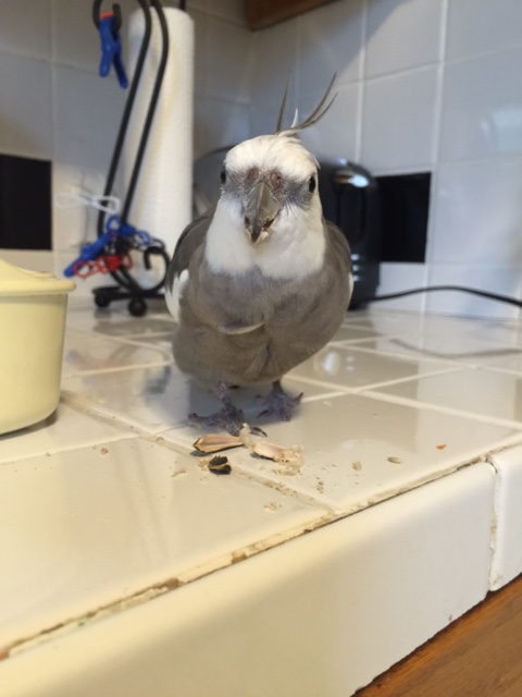 I know, Mom - I couldn't believe it either! "Neither." As if.