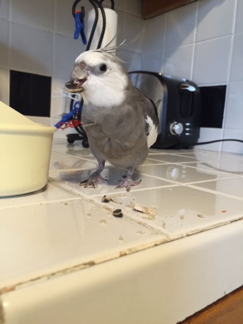 Lucky for me (and unlucky for you) I'm not full yet.