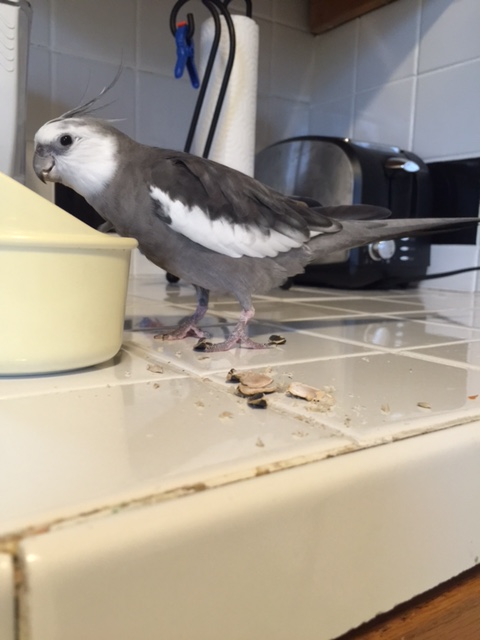 Ho, ho, ho.....and what have we here?