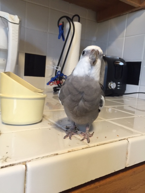 The hard way it was! 