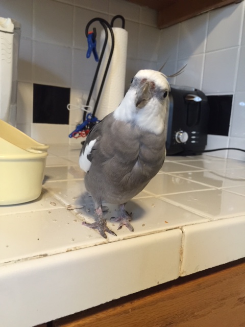 Why yes, my belly IS quite full now - thanks for asking!