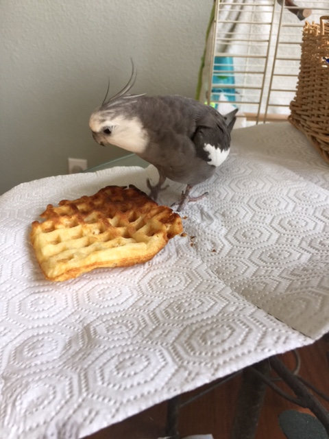 Wow! Where did this come from!