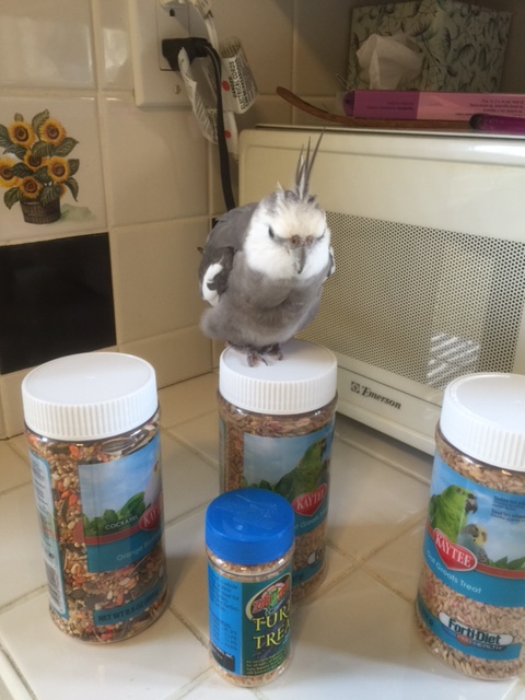 Mine. All mine. MINE, Mom. My VIP fan sent it all to me so it's MINE.