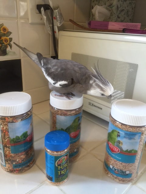 I sense a strong disturbance in the Force.