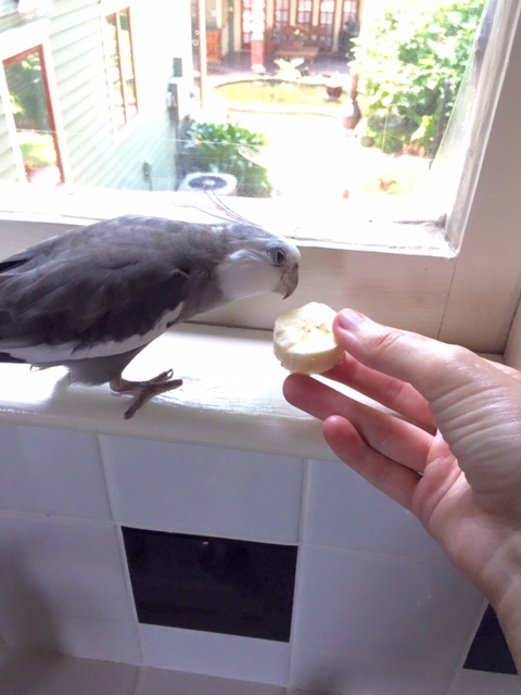 Well, I don't recognize you - which means I haven't interviewed you yet. How did you get on the brunch menu?