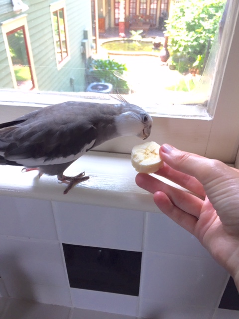 Not half bad! I say - for a first-timer with no interview and no prior experience, you are surprisingly tasty.