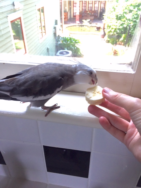 Well, this is highly unusual, but since you're already here....good luck!