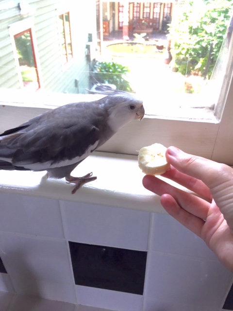 You are a dish called "Banana in the Round" and you are today's brunch menu?