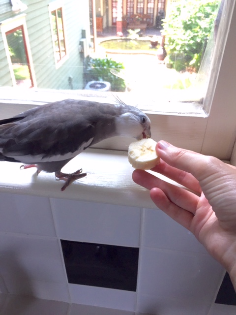 Nom nom nom....hmmmm. Not bad.