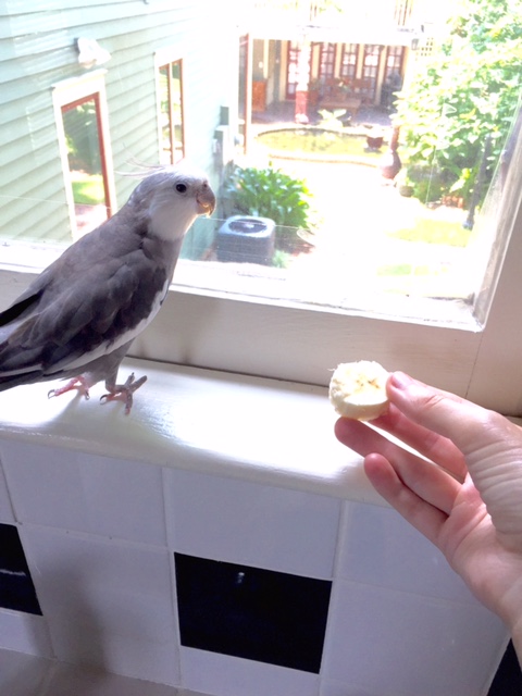 Oh! Well....hello....and who might you be?