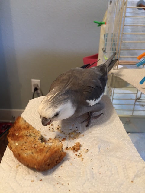 So you have two options. Option A - you come out with your hulls down. Option B - well, let me demonstrate.