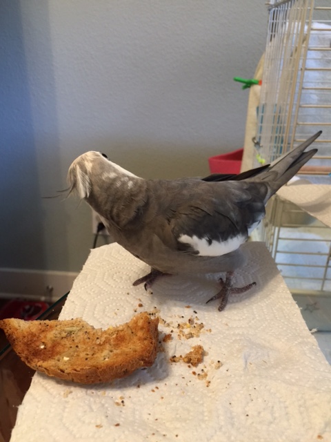 I'll just give you a moment to confer amongst yourselves and decide.