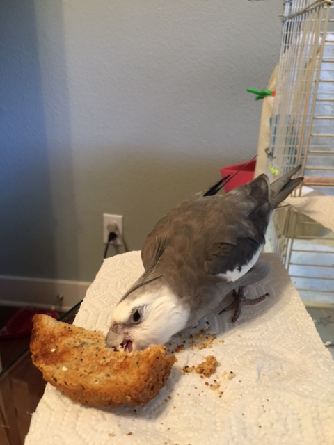 I will admit, I was secretly hoping you would choose Option B.