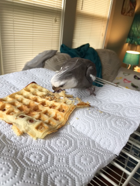 So scrumptious! So delectable! And it tastes even better in this thin air surrounding such a high cage top restaurant!