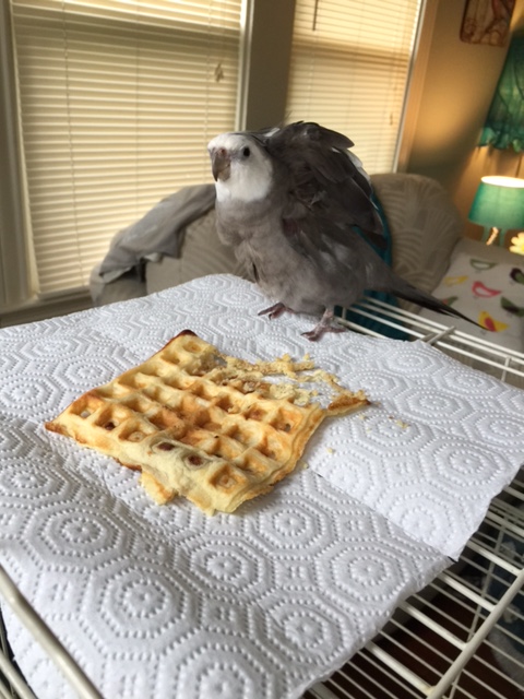 Well I feel full - please have the rest boxed up "to go."