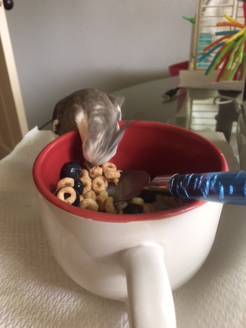 One by one, I will select each of you to participate in my ground-breaking research study.