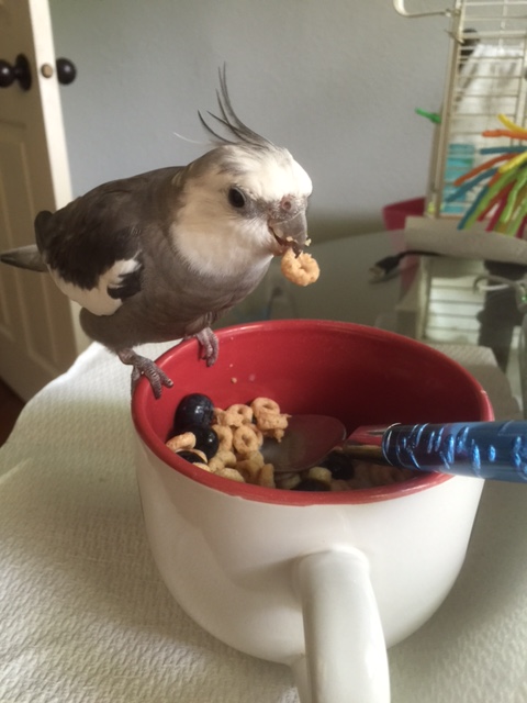 What's that, Mom? You think we should photo-document my research process?