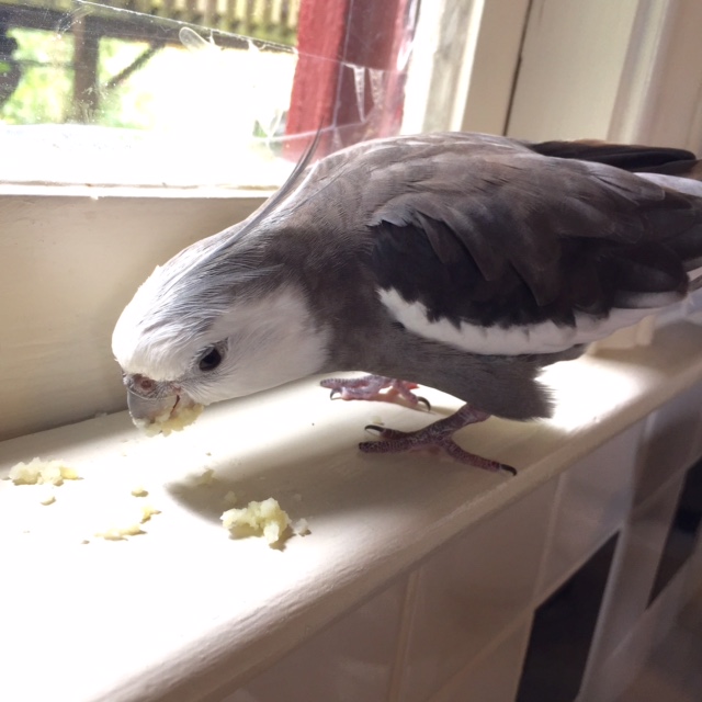 Boy is this dish scrumptious. 