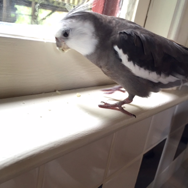 And just where do you think you're going? 