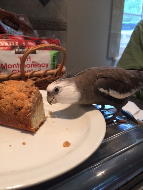 So your name is "crumb cake," eh? 