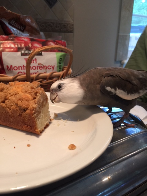 Well, you do look very crumbly and delectable!