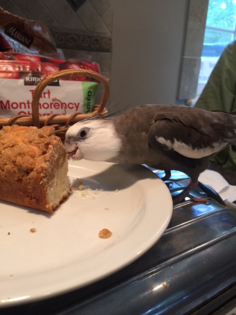 I have to say - your name suits you very well indeed!