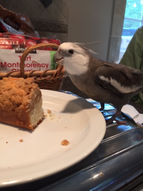 Oh thank you for offering to make the introductions, Grandma!