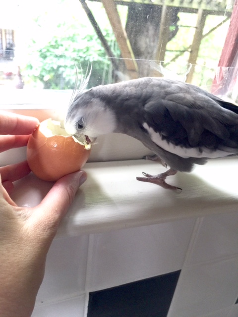 It is quite delectable served this way.