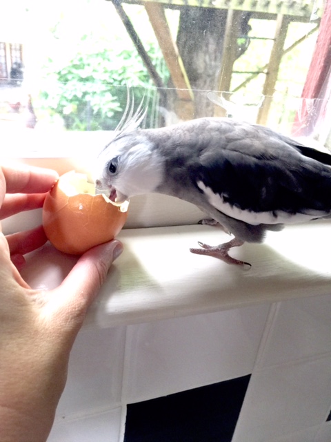 Ah well, "dine first and ask questions later" - that is always my motto.