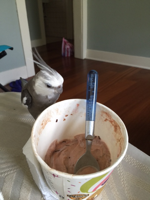 It is hard to imagine any dish could get less appetizing than this one.