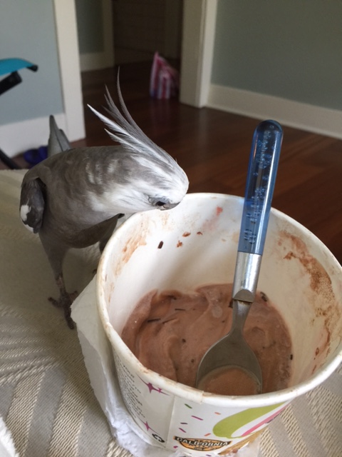 Or waffles. Waffles are also large enough that you could just cover up the rest of the dish and pretend it's not there!