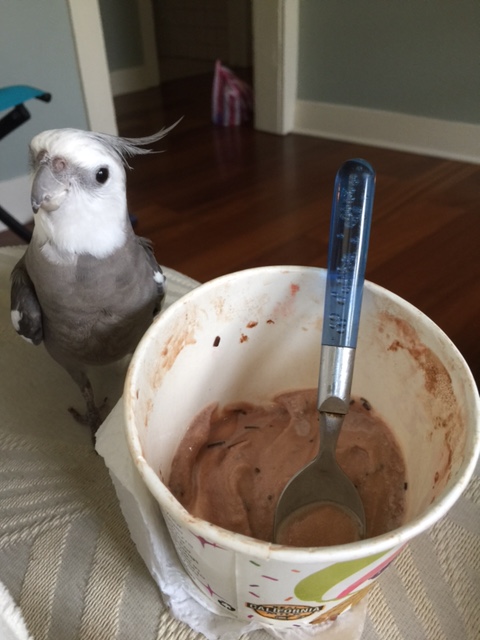 What if you added some birdseed to it, Mom? I bet it would taste much better!