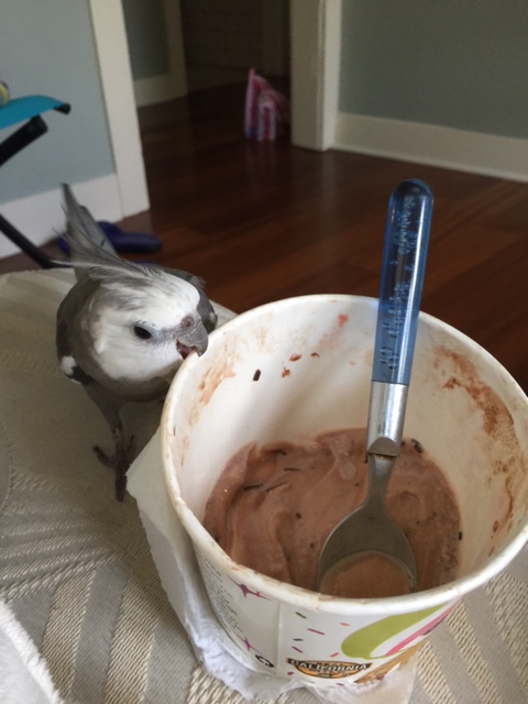 All I can say is, thank goodness they thought to package it in these chewy round bowls.