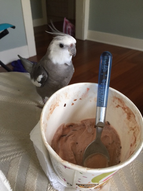 Again, Mom? I thought I'd already made it clear how I feel about this particular dish.