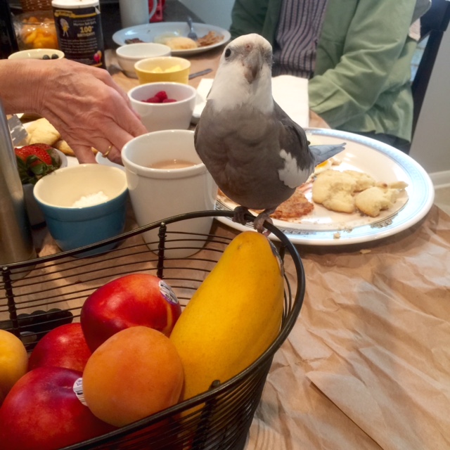 I'd like to call it "Pearl."