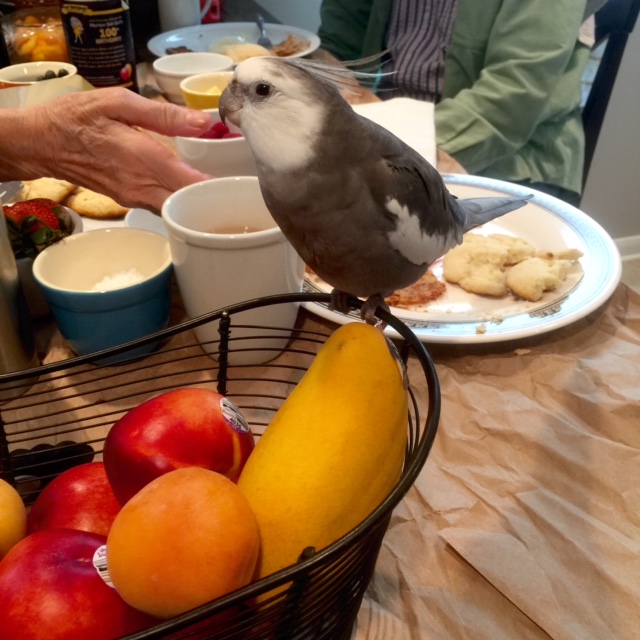 You want me to do what, Mom? 