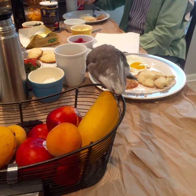 Stand next to this odd orange thing? 