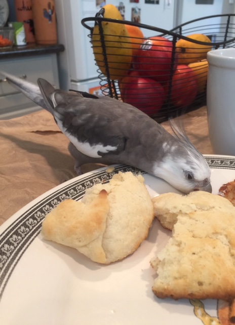 And just when I was feeling in the mood to play a fun game of "hash browns hopping" too!