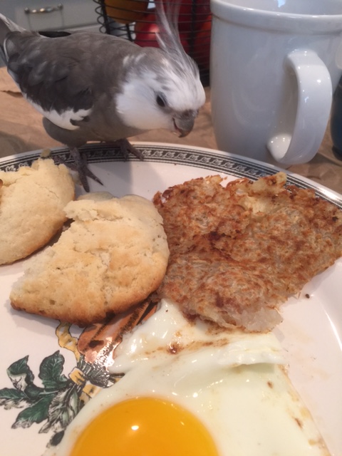 Okay, so there are four flat dishes on this table. Since you're my dish, you can be "home plate."